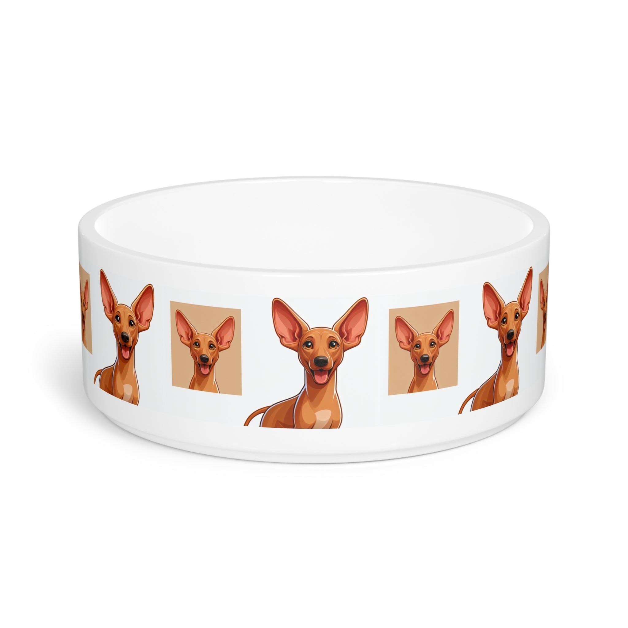 Ceramic Pet Bowl – 16 oz Dog Feeding Bowl