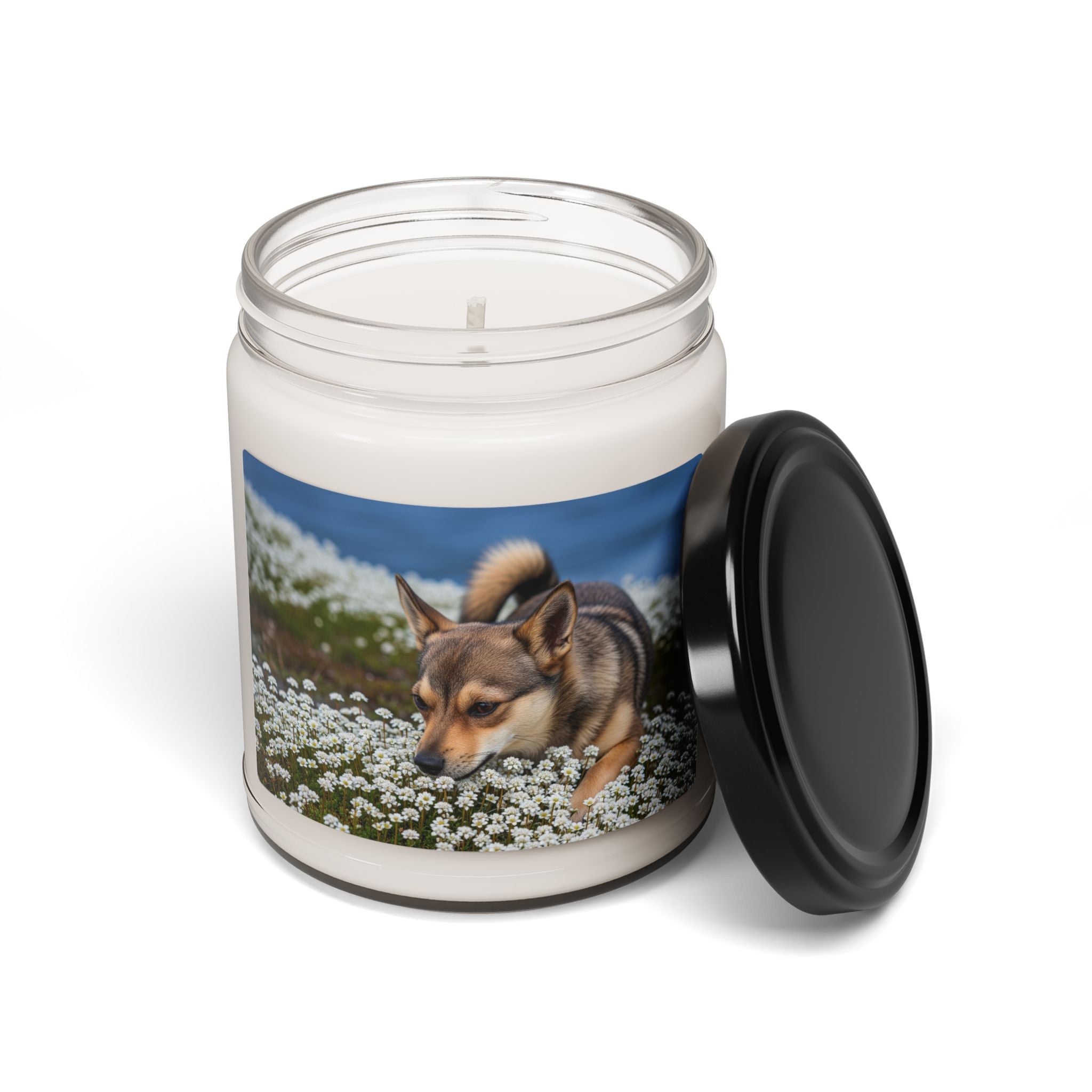 Soy Candle – Scented Jar Candle