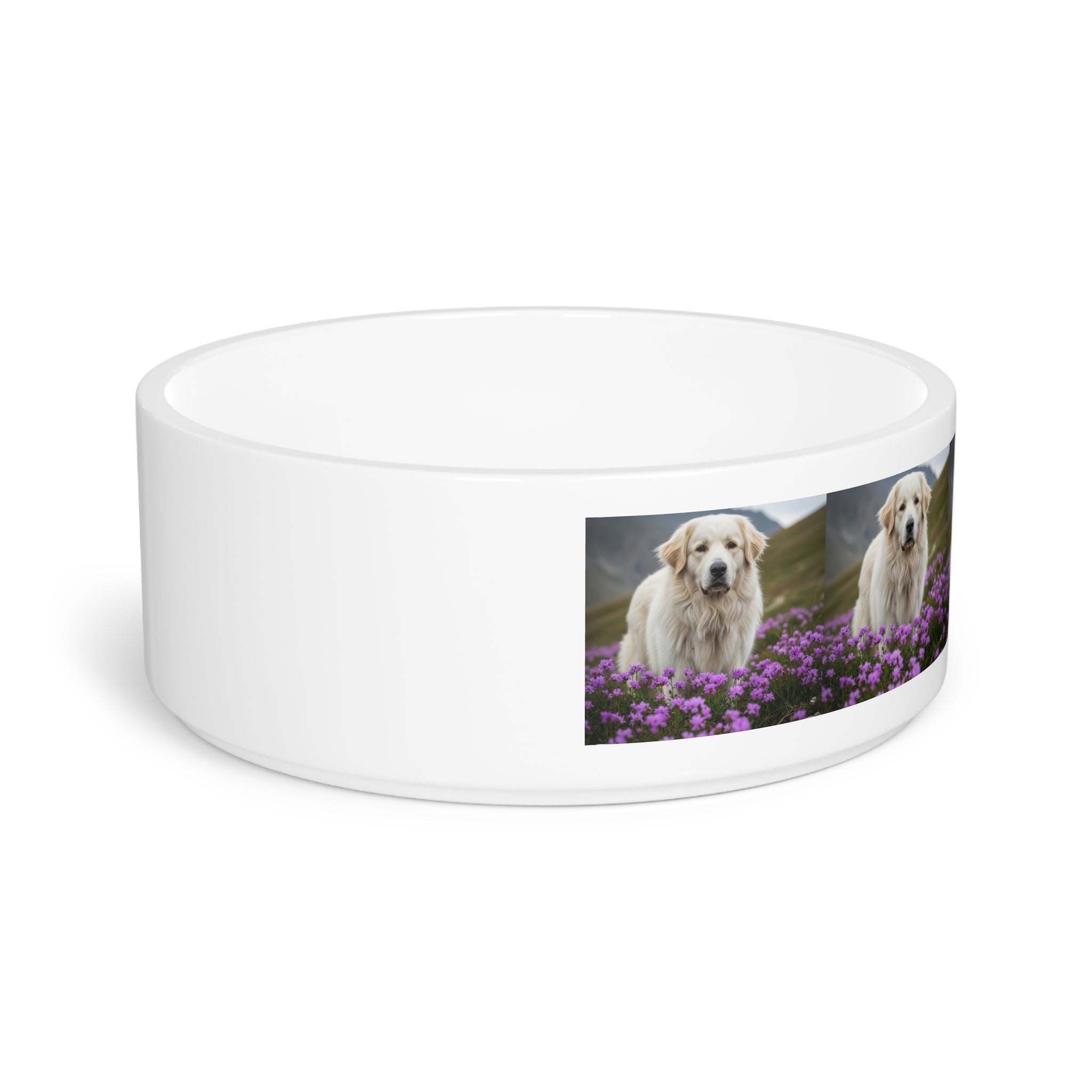 Ceramic Pet Bowl – 16 oz Dog Feeding Bowl