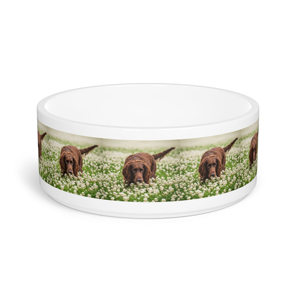 Ceramic Pet Bowl – 16 oz Dog Feeding Bowl