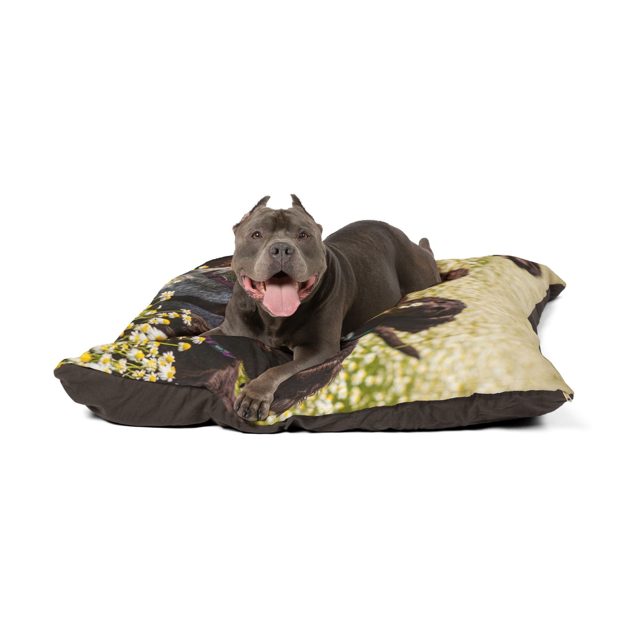Pet Bed – Plush Dog Bed, 3 Size Options