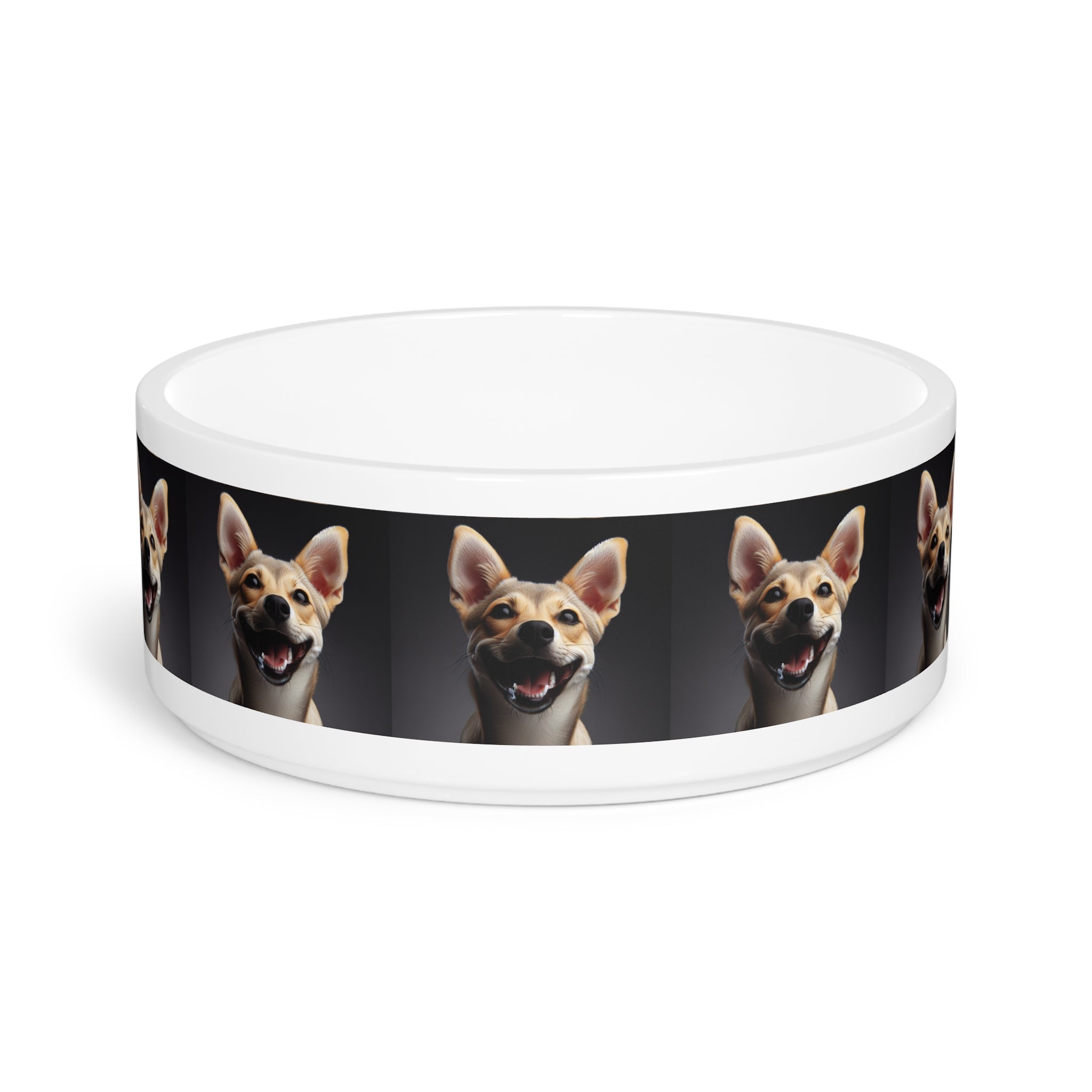Ceramic Pet Bowl – 16 oz Dog Feeding Bowl
