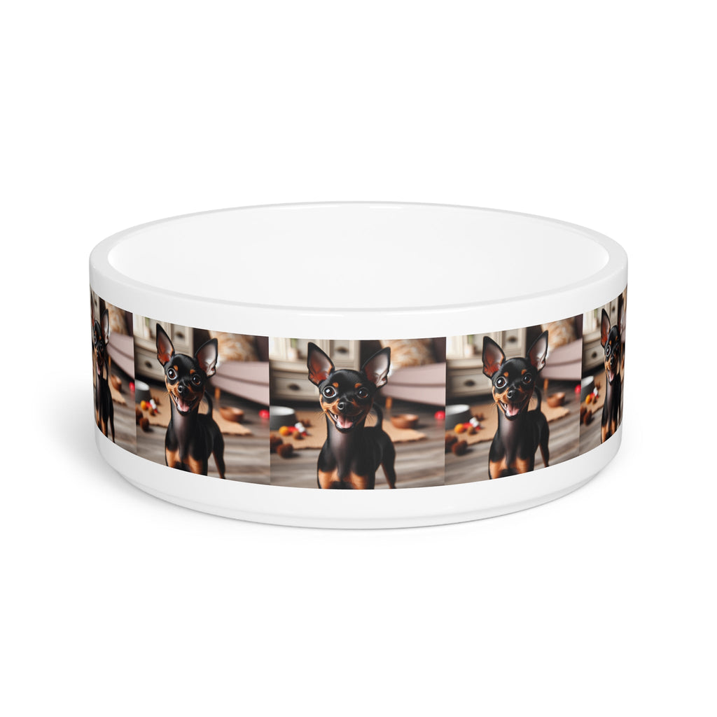 Ceramic Pet Bowl – 16 oz Dog Feeding Bowl