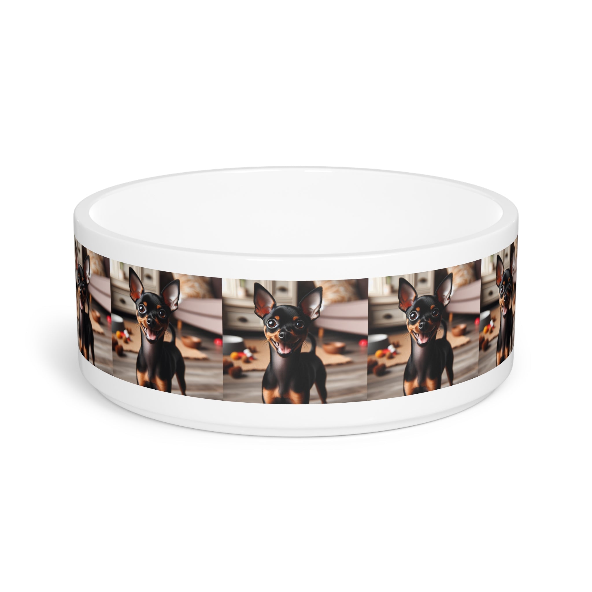 Ceramic Pet Bowl – 16 oz Dog Feeding Bowl