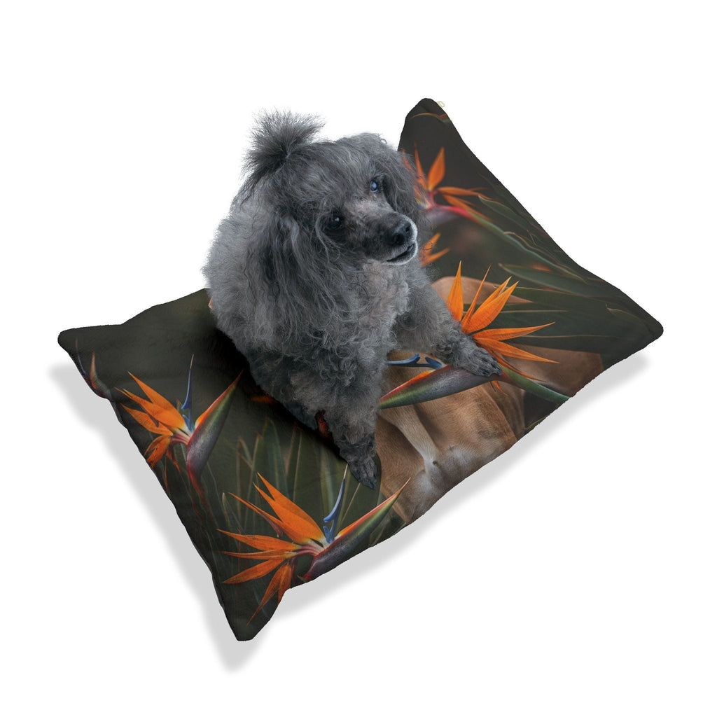 Pet Bed – Plush Dog Bed, 3 Size Options