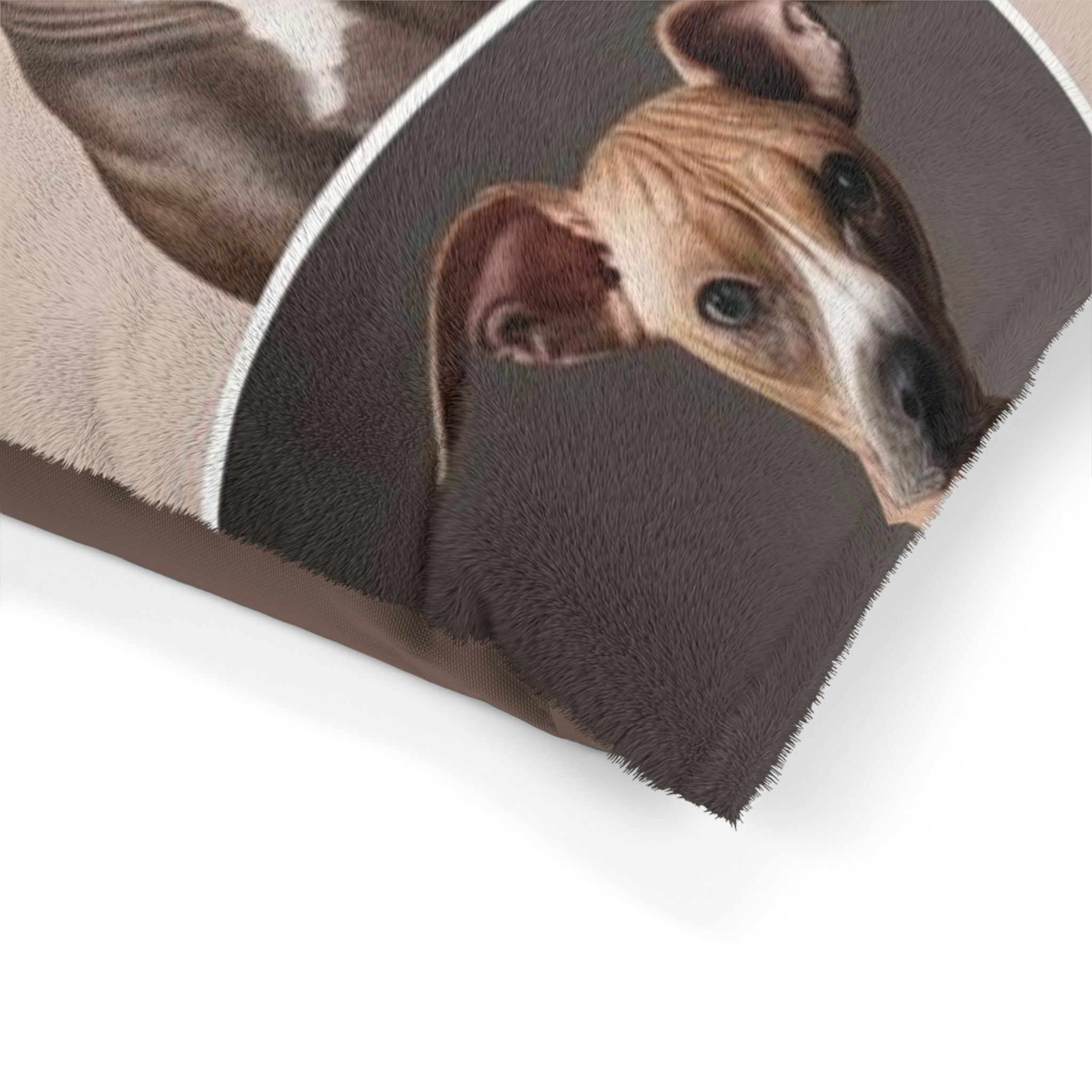 Pet Bed – Plush Dog Bed, 3 Size Options