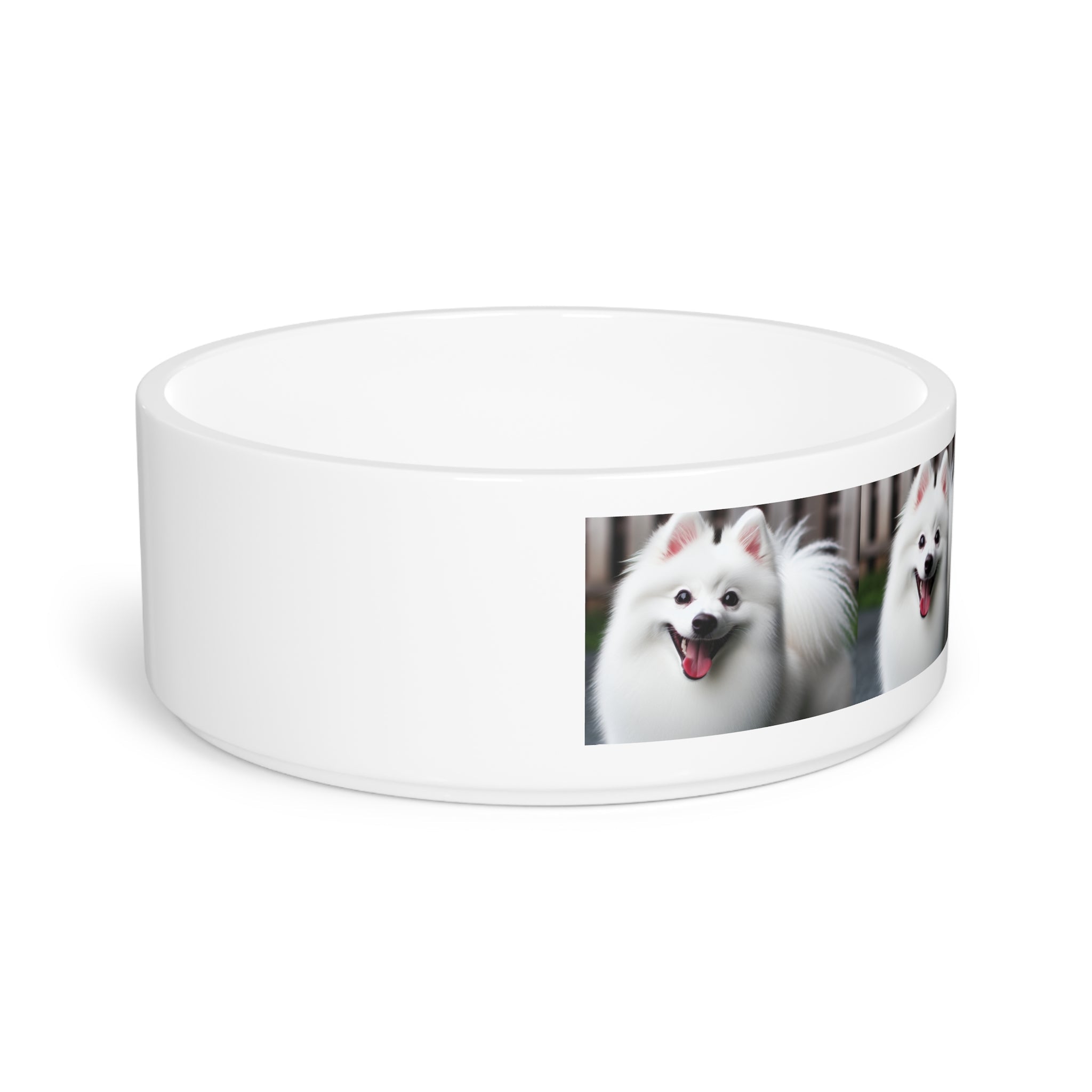 Ceramic Pet Bowl – 16 oz Dog Feeding Bowl
