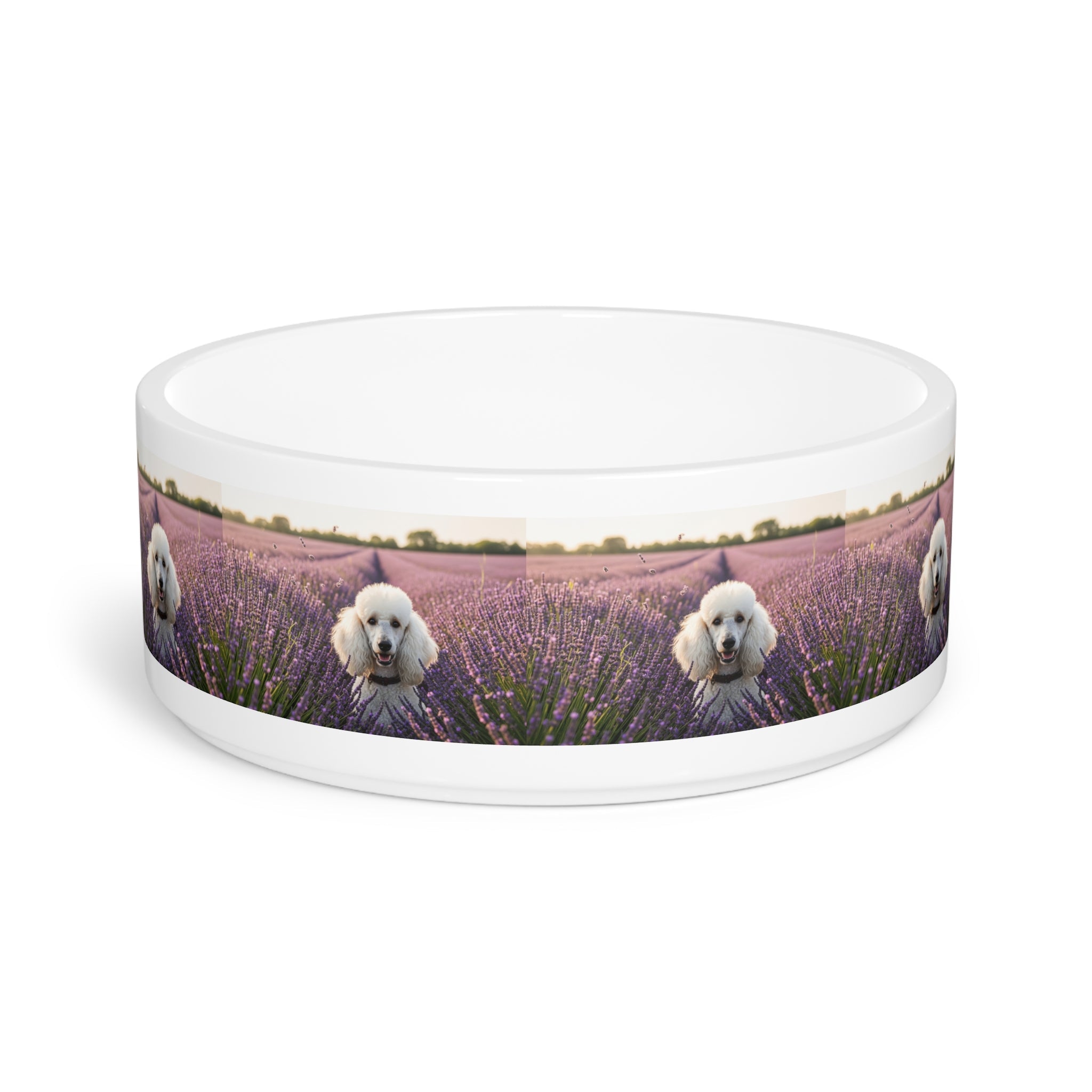 Ceramic Pet Bowl – 16 oz Dog Feeding Bowl