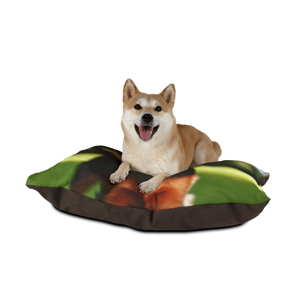 Pet Bed – Plush Dog Bed, 3 Size Options