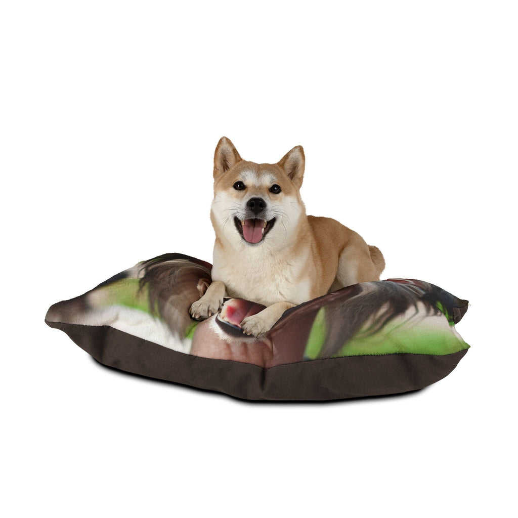 Pet Bed – Plush Dog Bed, 3 Size Options