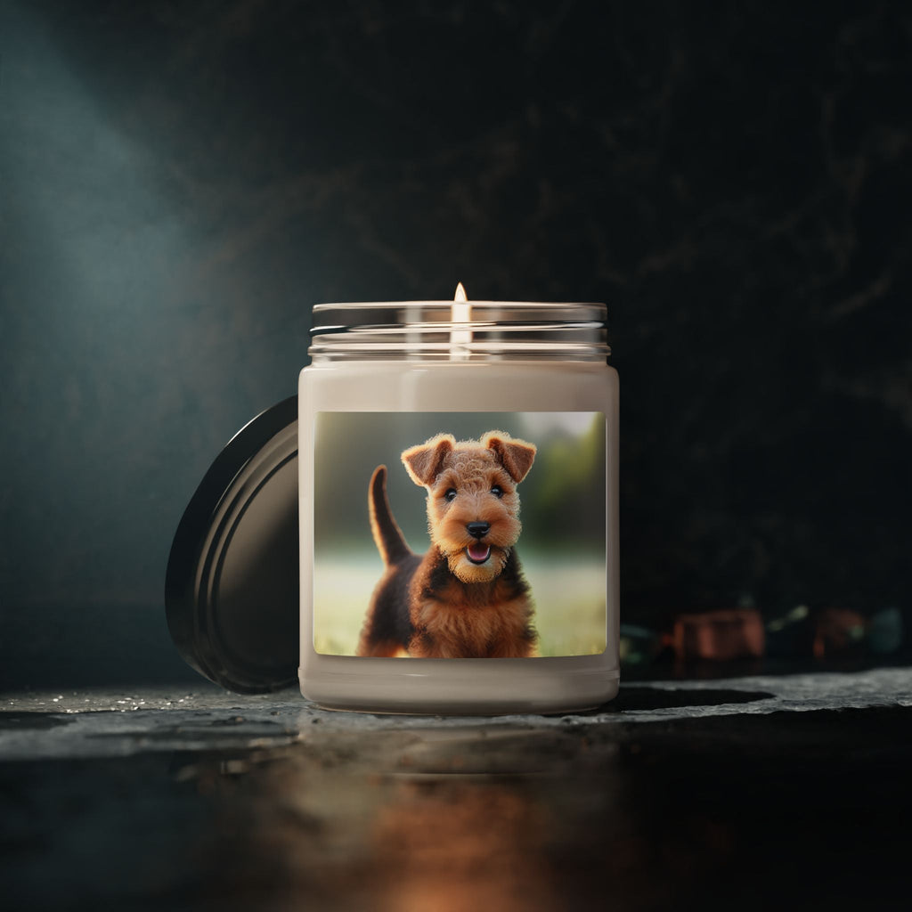 Soy Candle – Scented Jar Candle
