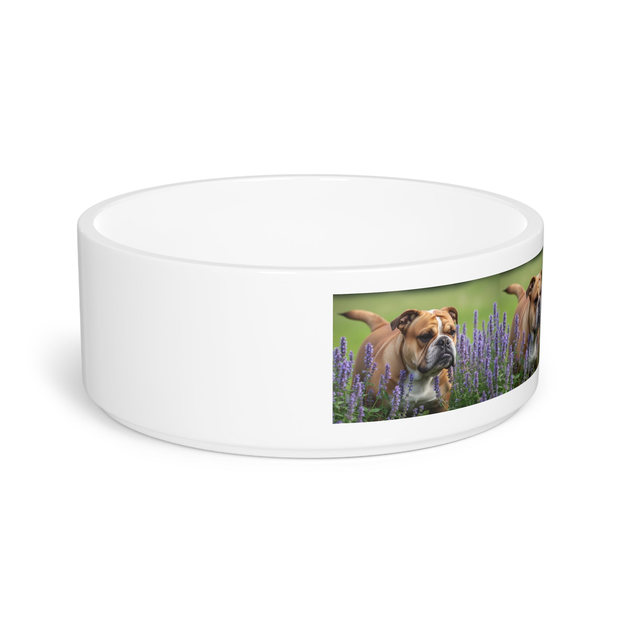 Ceramic Pet Bowl – 16 oz Dog Feeding Bowl