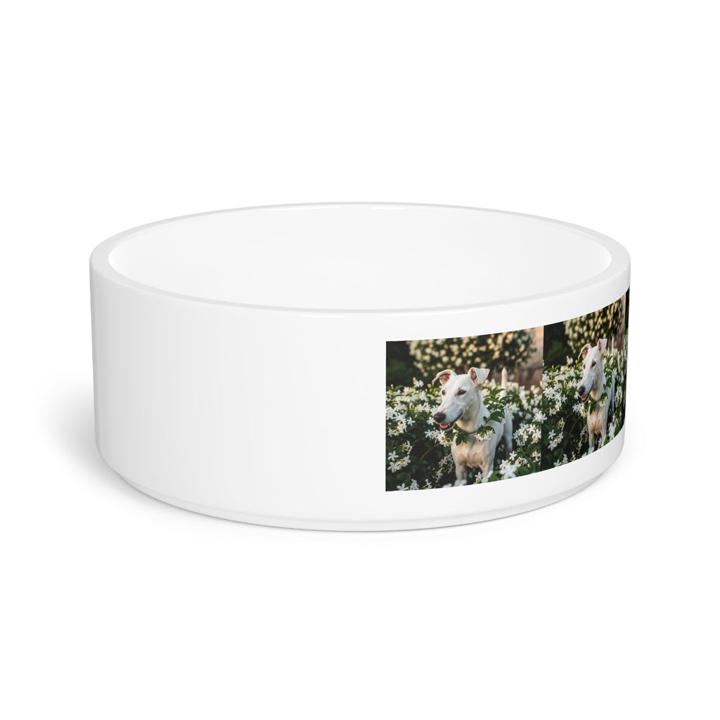 Ceramic Pet Bowl – 16 oz Dog Feeding Bowl