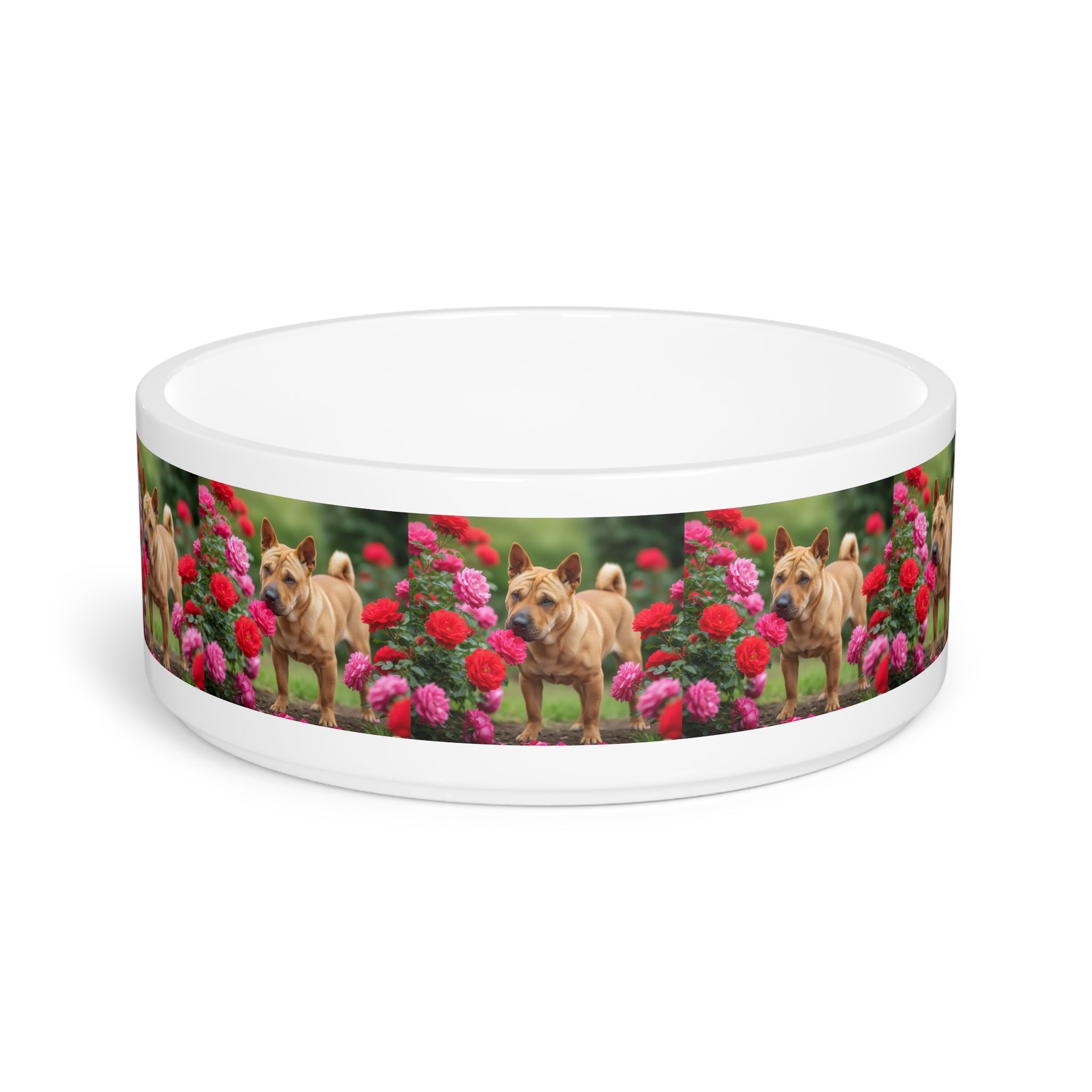 Ceramic Pet Bowl – 16 oz Dog Feeding Bowl