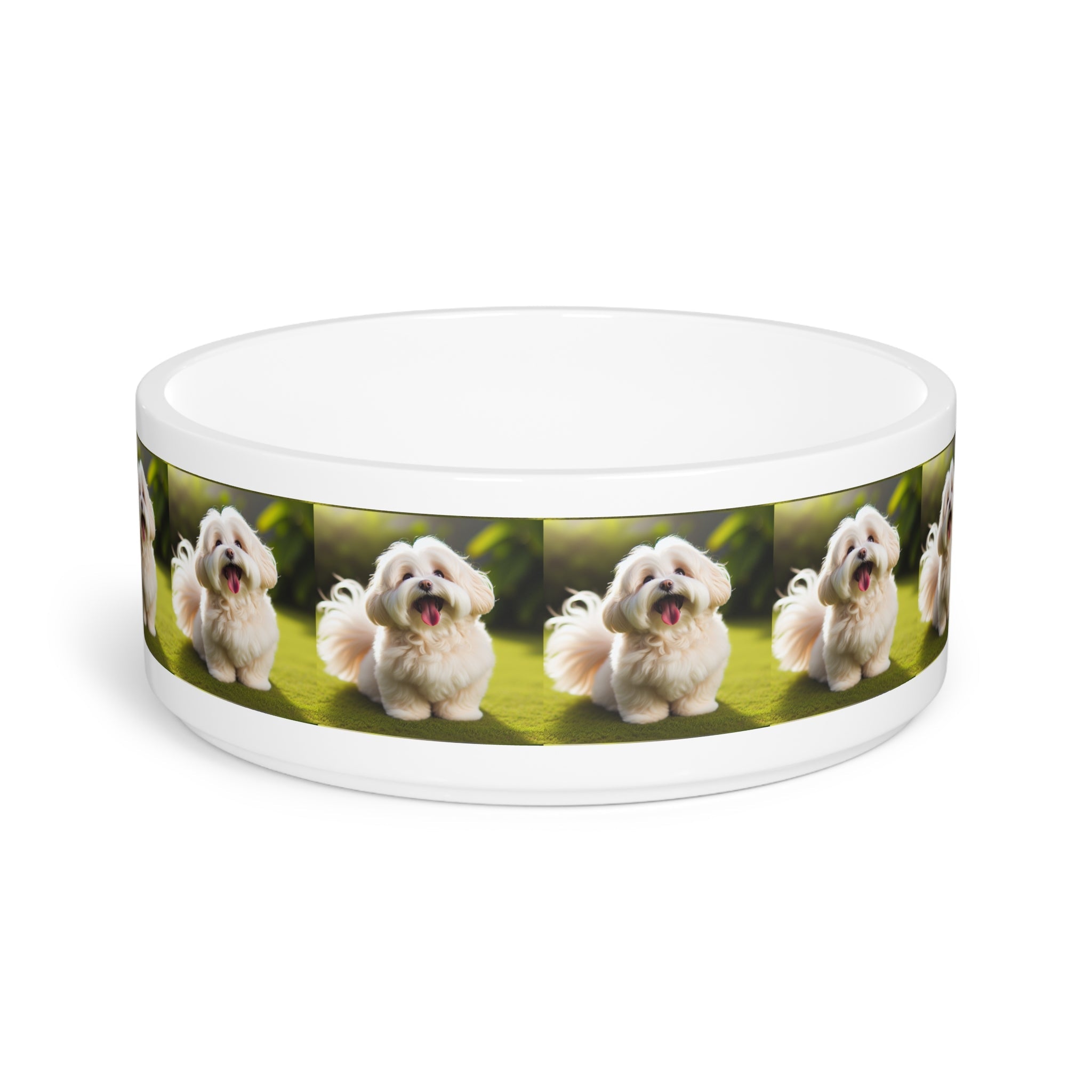Ceramic Pet Bowl – 16 oz Dog Feeding Bowl