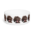 Ceramic Pet Bowl – 16 oz Dog Feeding Bowl