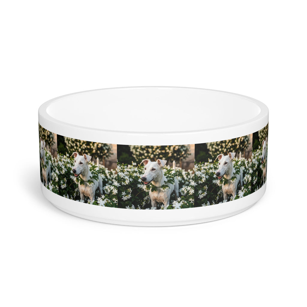Ceramic Pet Bowl – 16 oz Dog Feeding Bowl