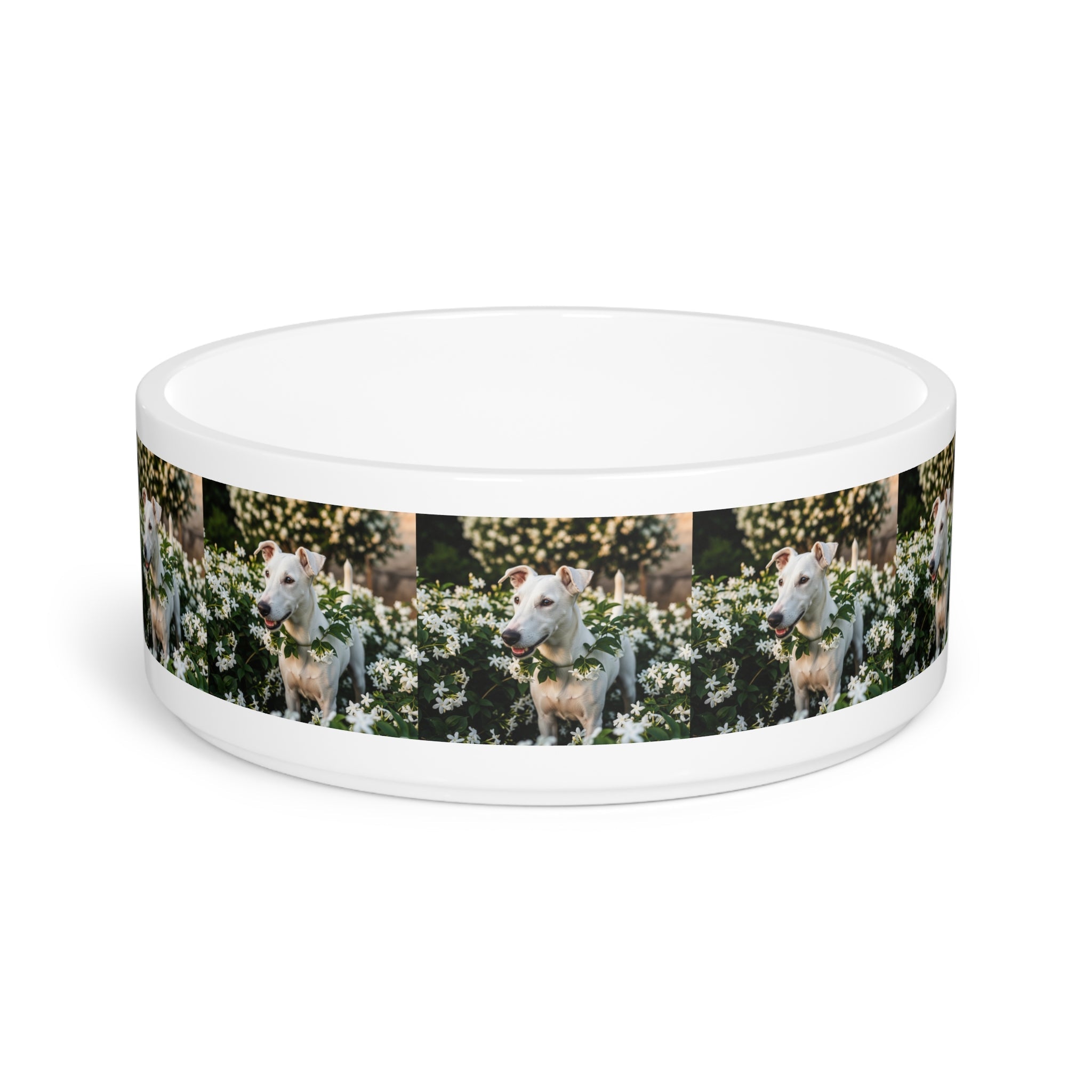 Ceramic Pet Bowl – 16 oz Dog Feeding Bowl