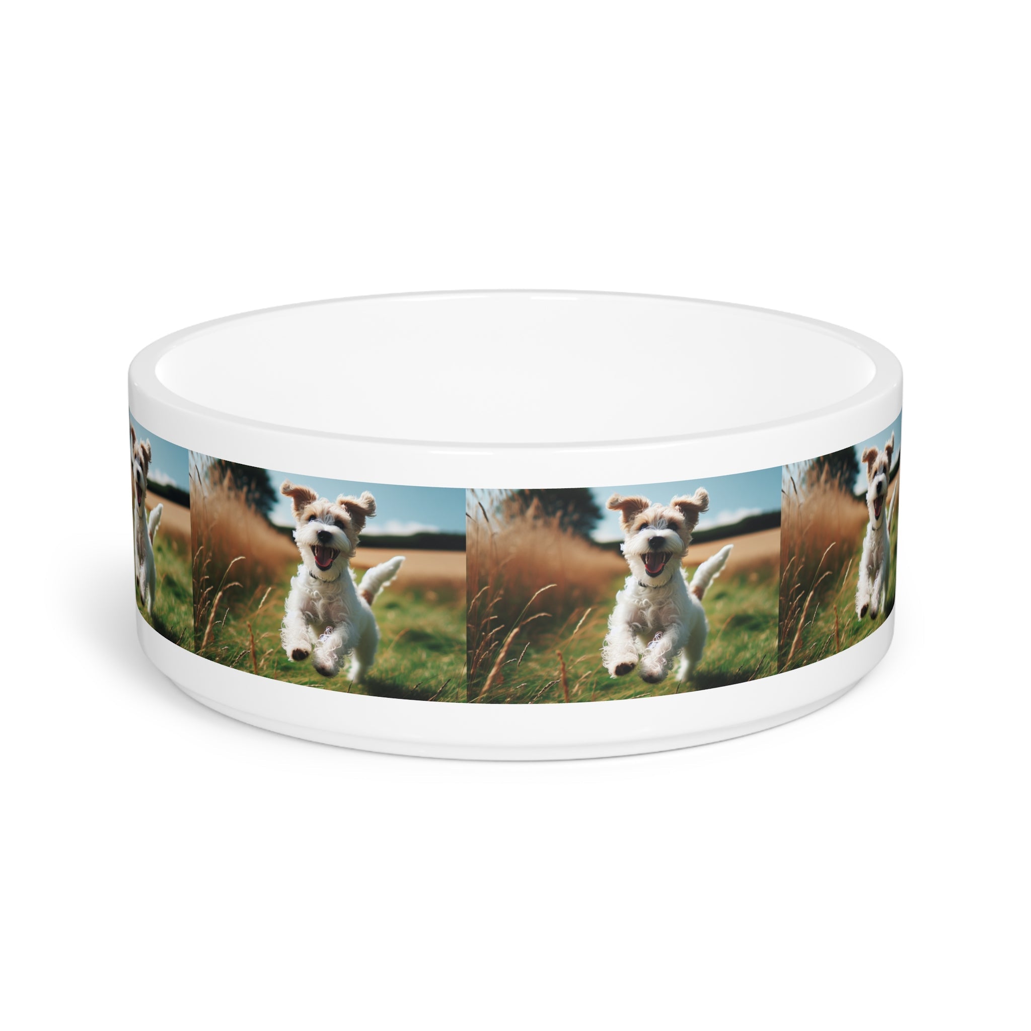 Ceramic Pet Bowl – 16 oz Dog Feeding Bowl
