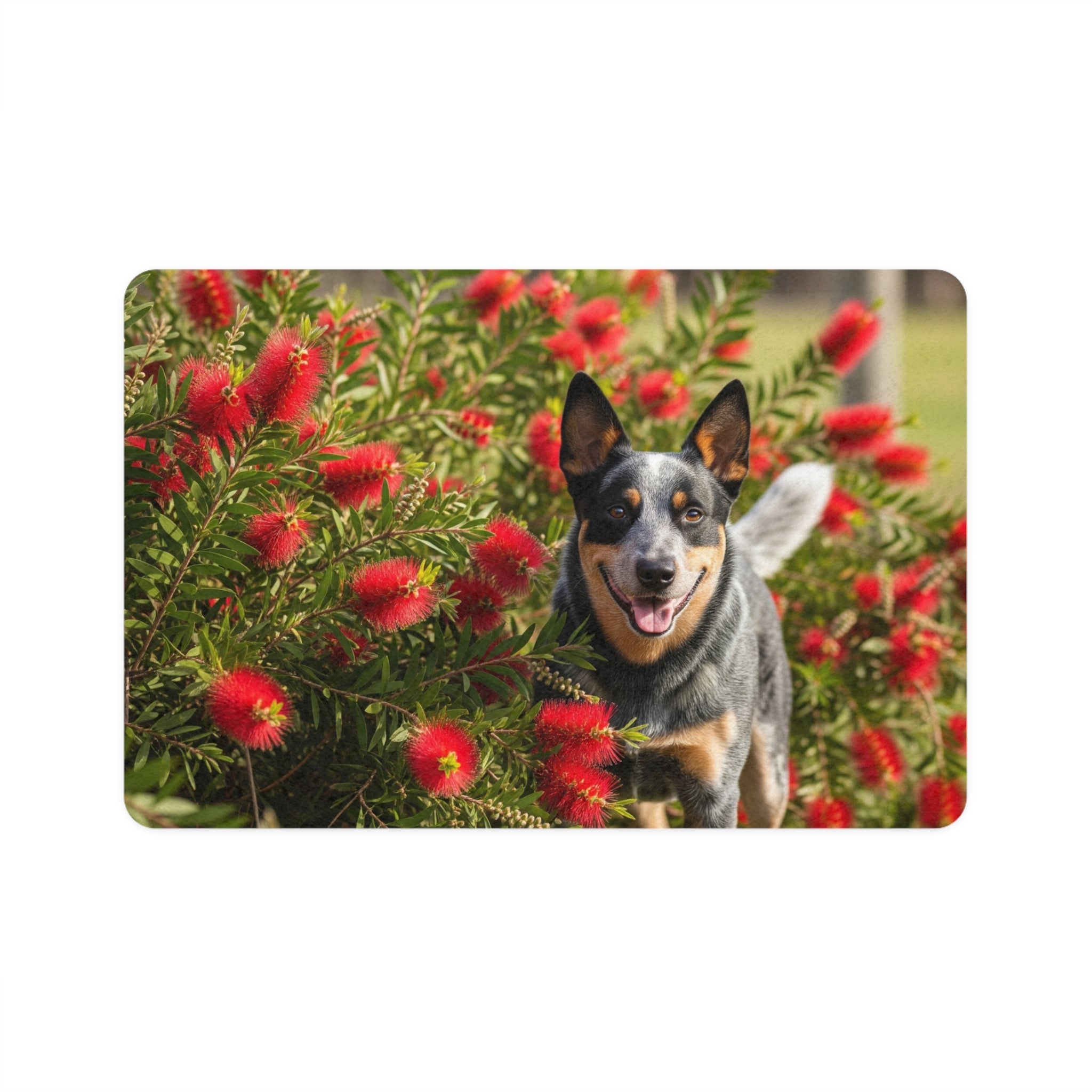 Non-Slip Pet Food Mat – Waterproof Feeding Mat for Dogs