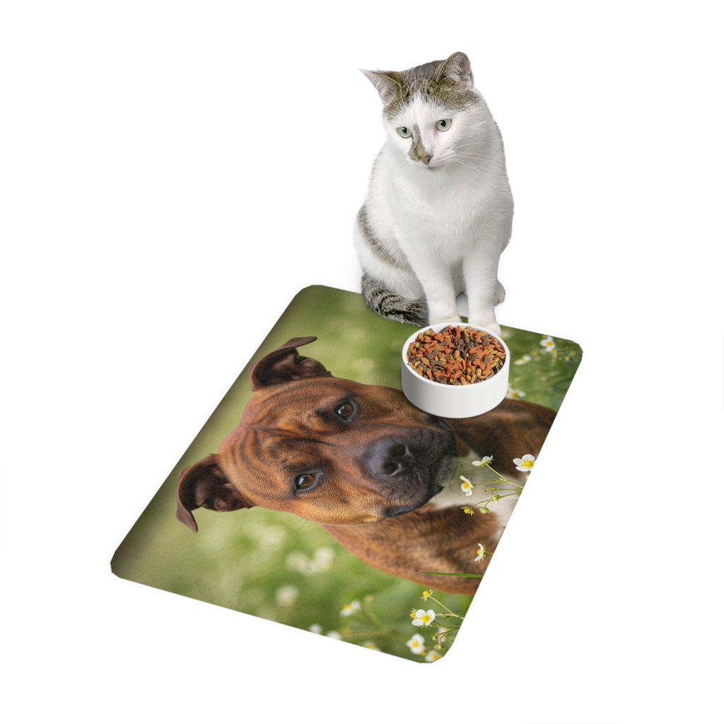 Non-Slip Pet Food Mat – Waterproof Feeding Mat for Dogs
