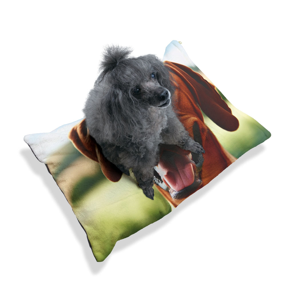 Pet Bed – Plush Dog Bed, 3 Size Options