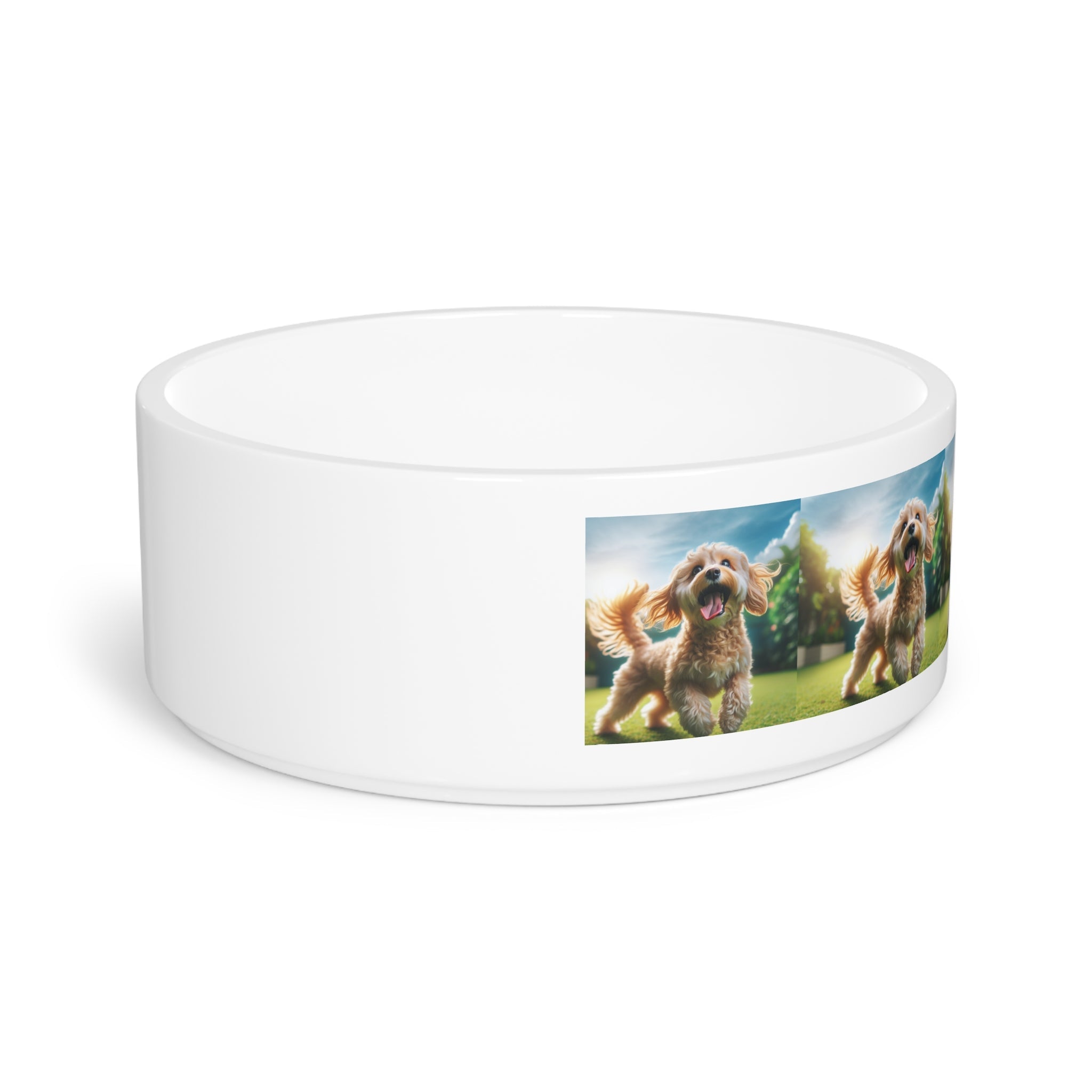 Ceramic Pet Bowl – 16 oz Dog Feeding Bowl