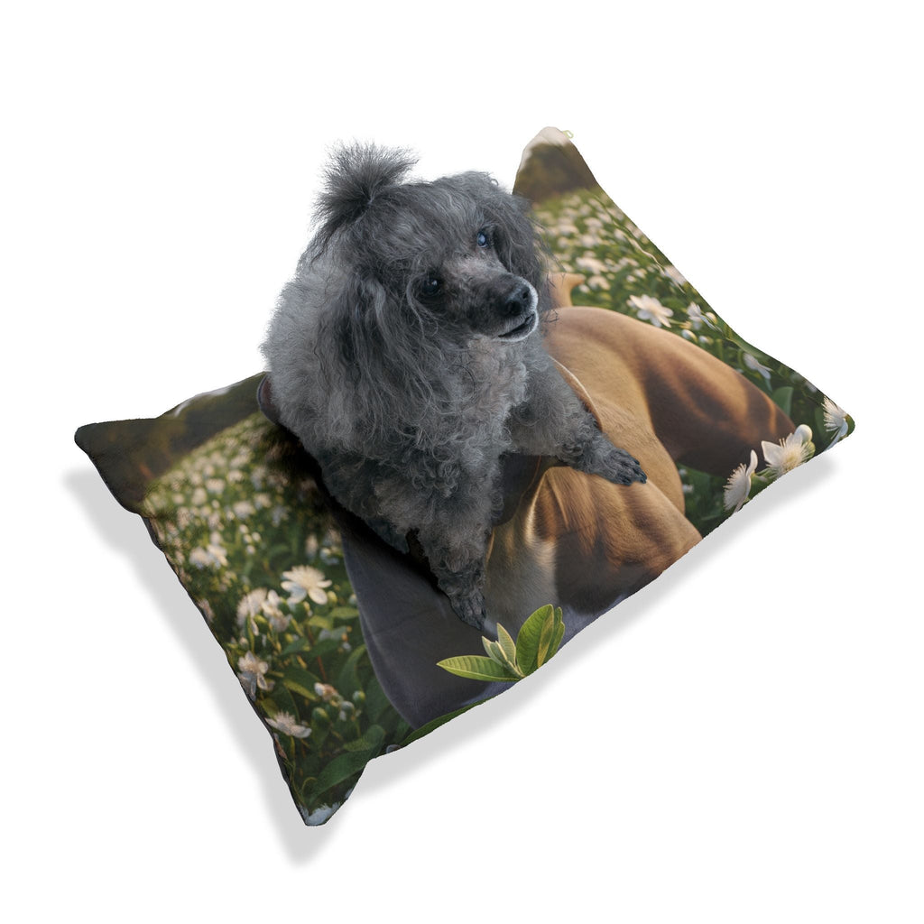 Pet Bed – Plush Dog Bed, 3 Size Options