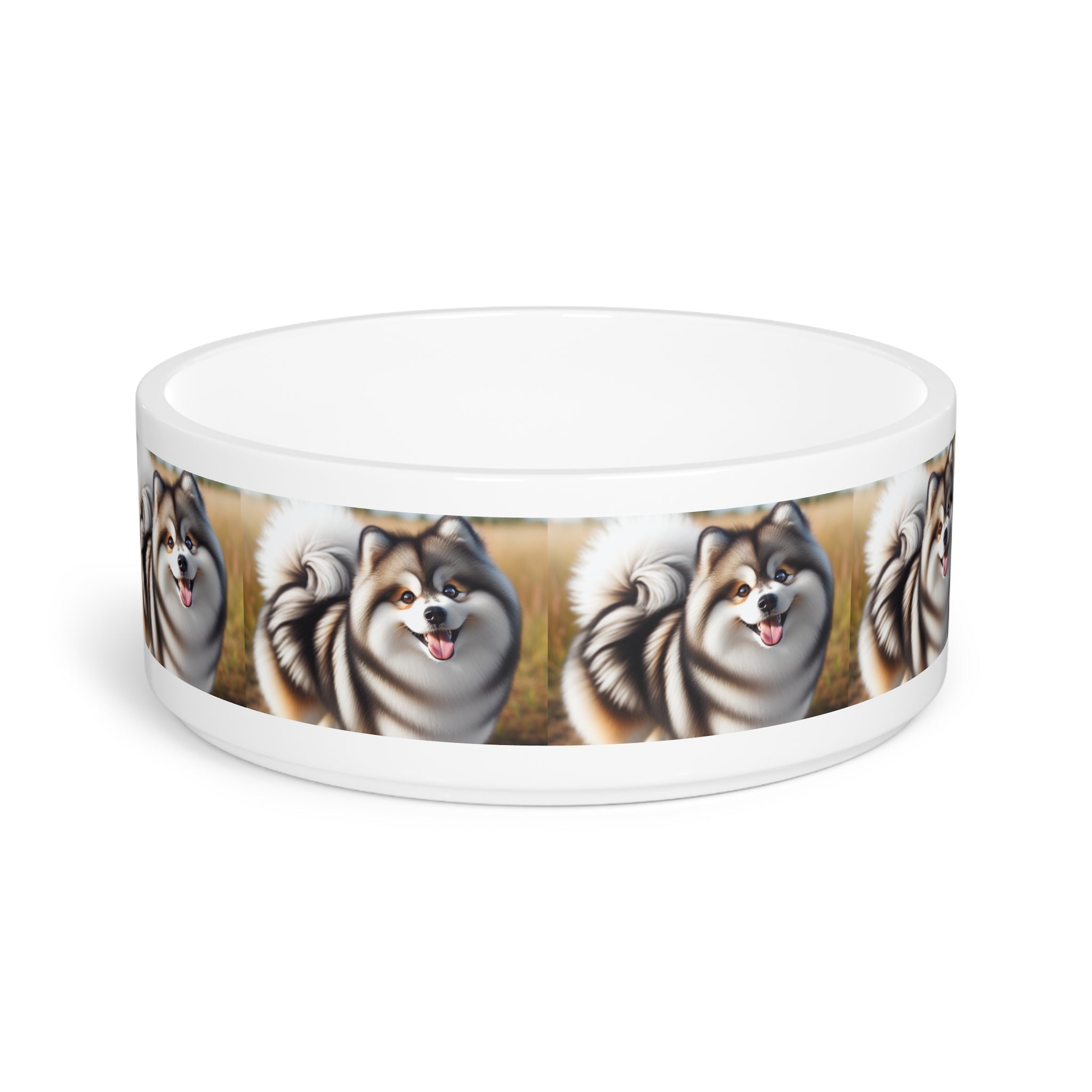 Ceramic Pet Bowl – 16 oz Dog Feeding Bowl