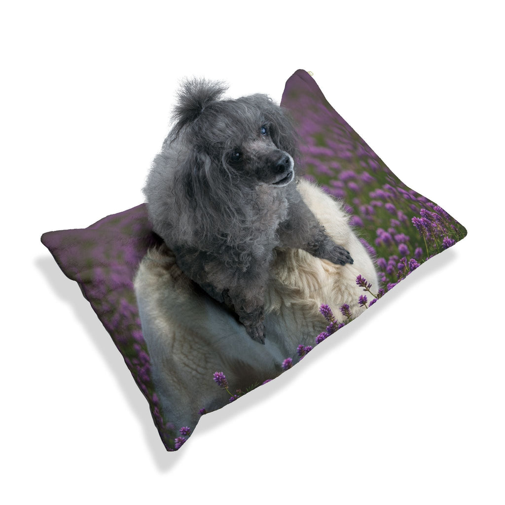 Pet Bed – Plush Dog Bed, 3 Size Options