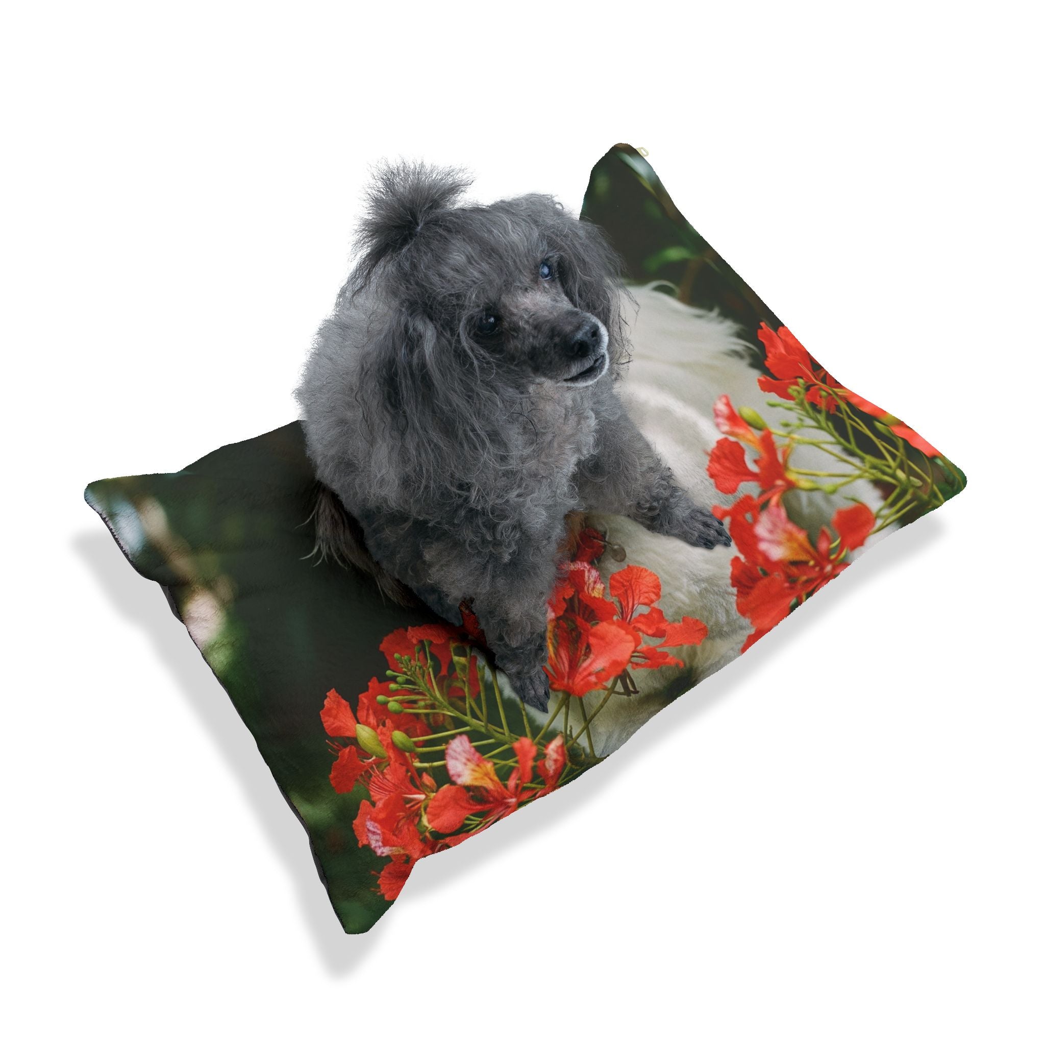 Pet Bed – Plush Dog Bed, 3 Size Options