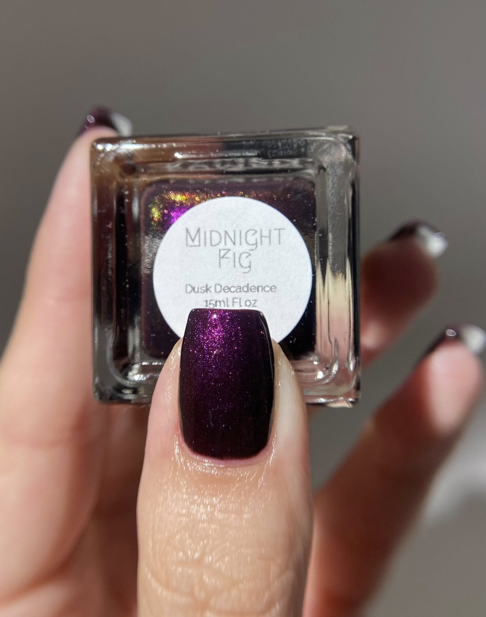 Midnight Fig