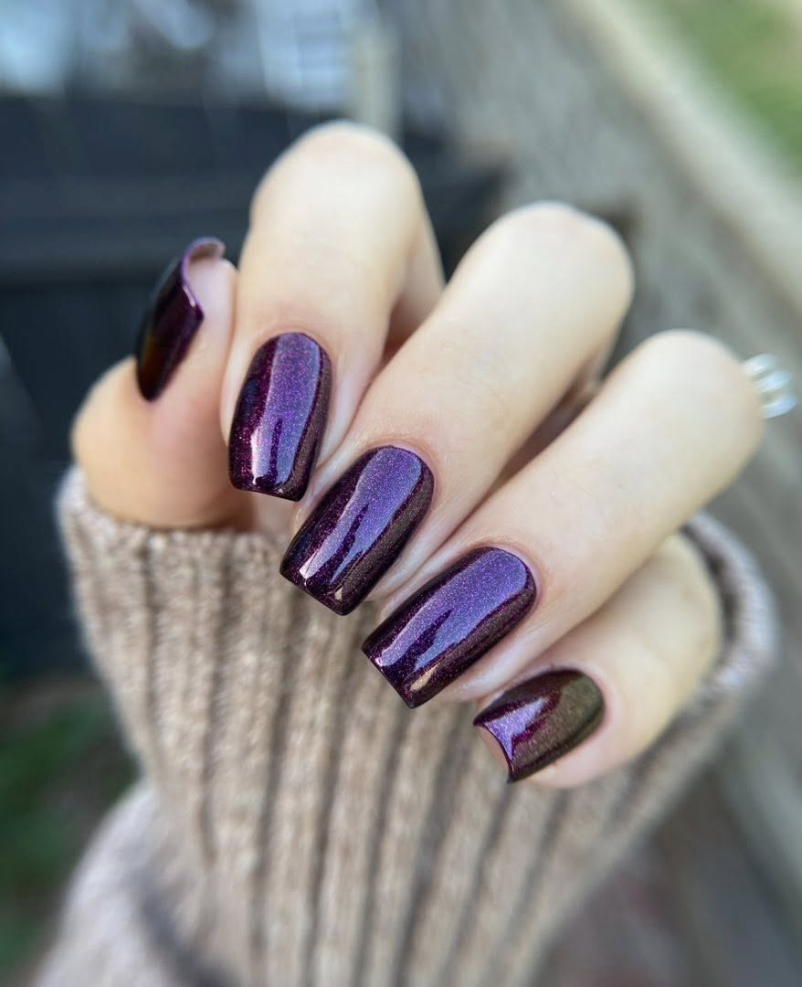 Midnight Fig