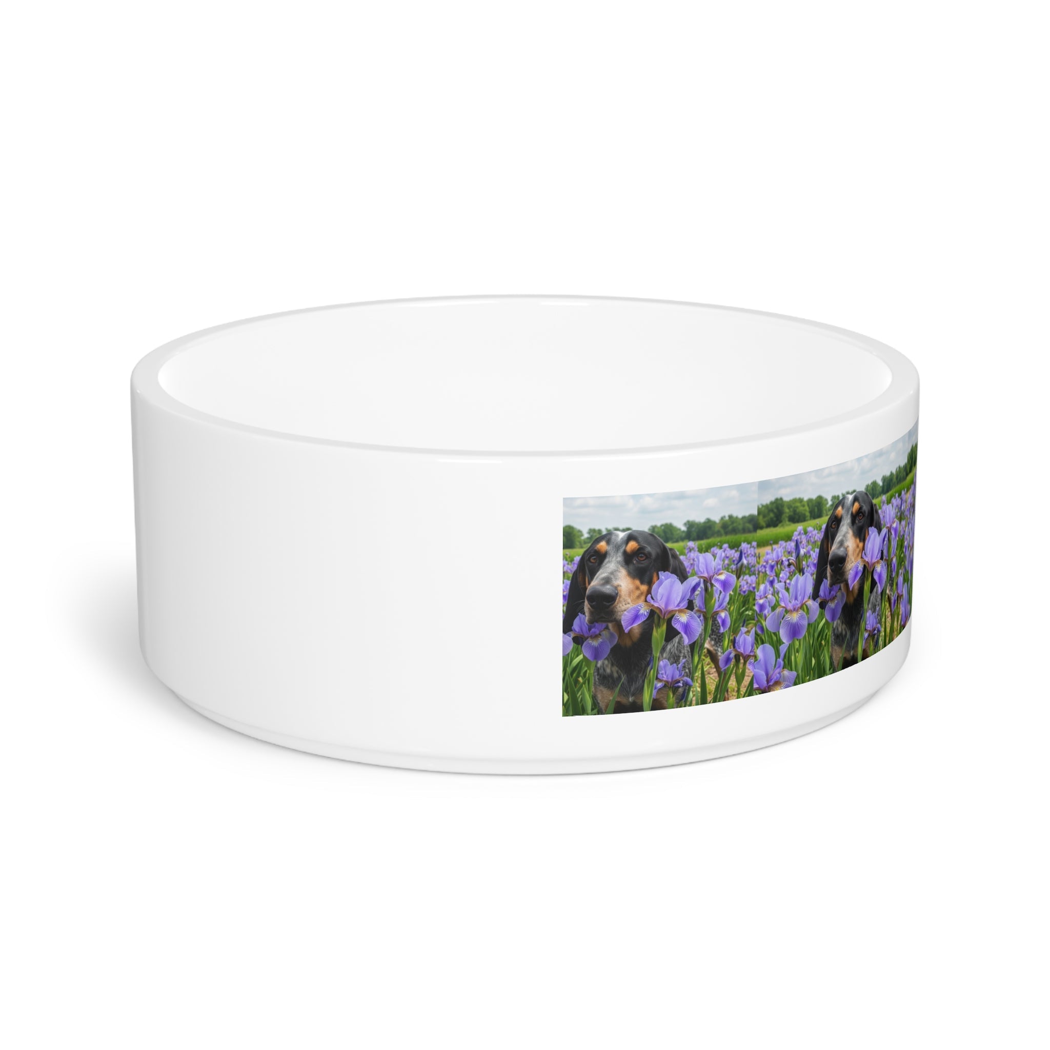 Ceramic Pet Bowl – 16 oz Dog Feeding Bowl