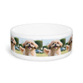 Ceramic Pet Bowl – 16 oz Dog Feeding Bowl