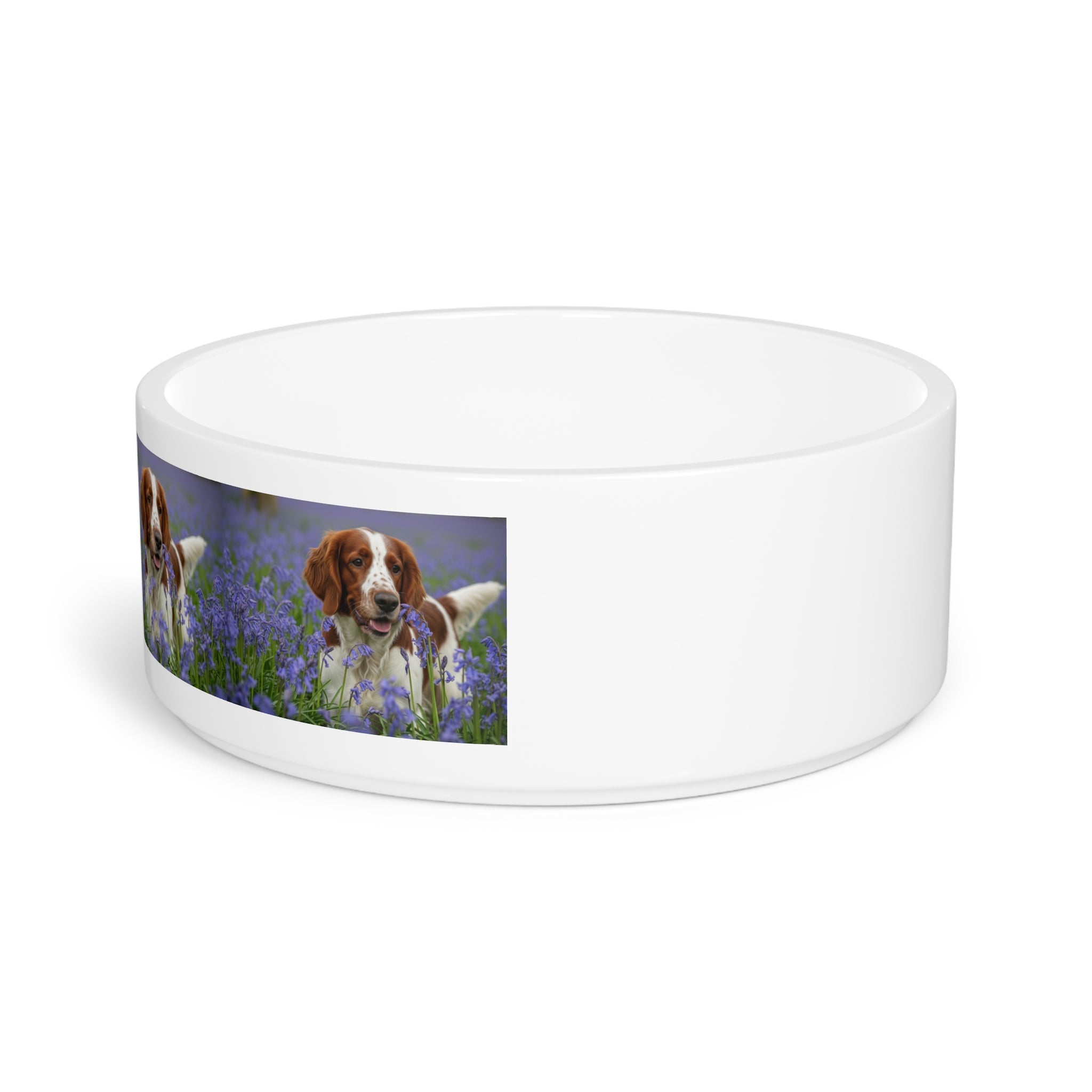 Ceramic Pet Bowl – 16 oz Dog Feeding Bowl