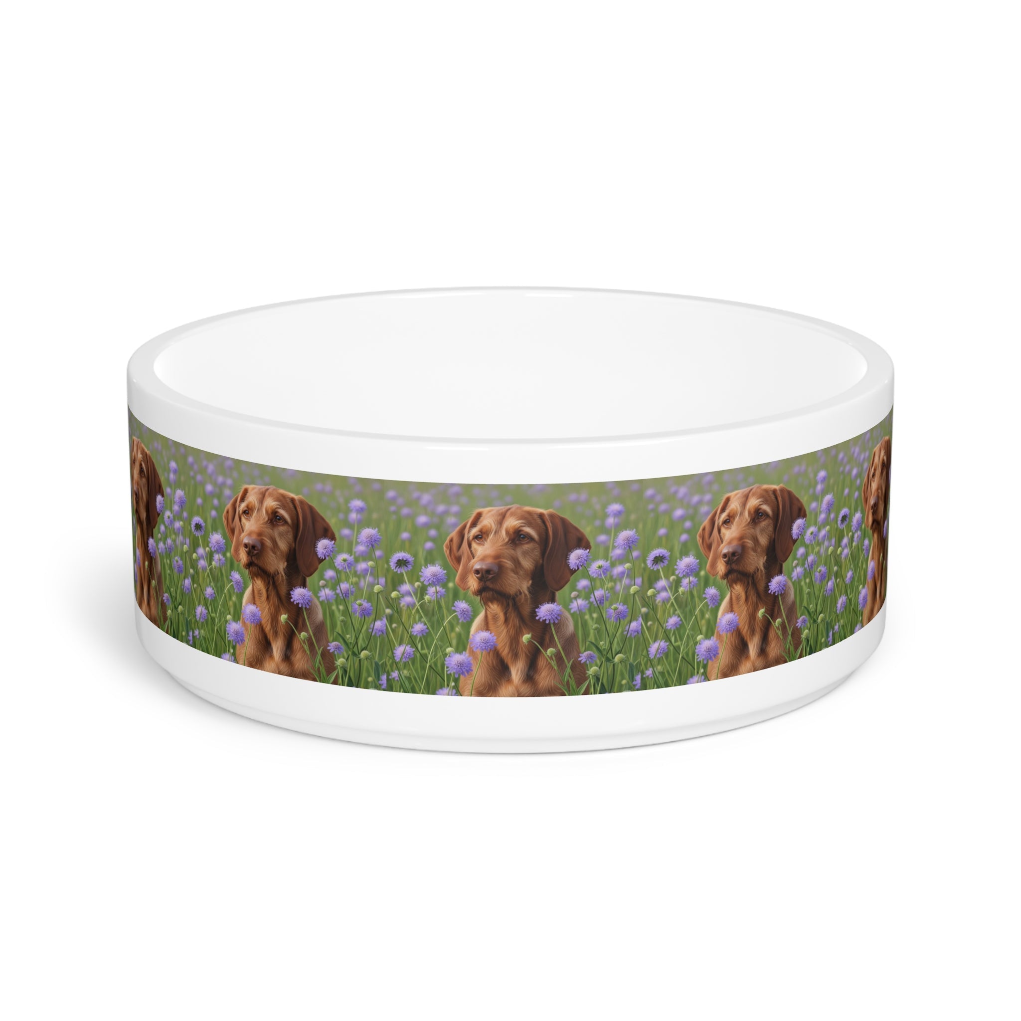 Ceramic Pet Bowl – 16 oz Dog Feeding Bowl