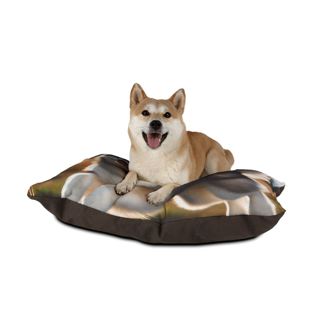 Pet Bed – Plush Dog Bed, 3 Size Options