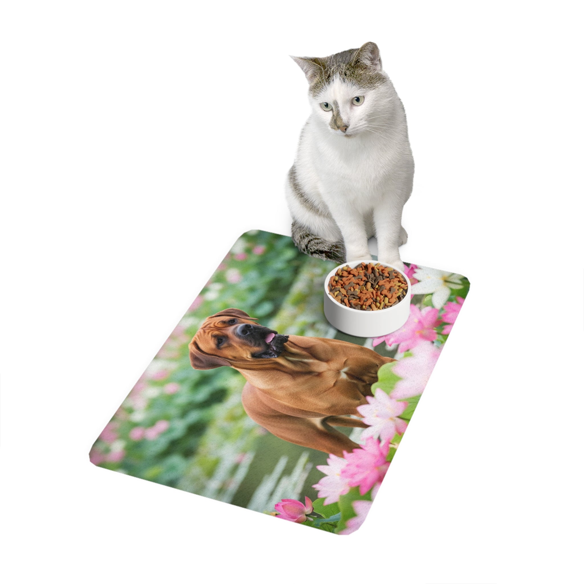 Non-Slip Pet Food Mat – Waterproof Feeding Mat for Dogs