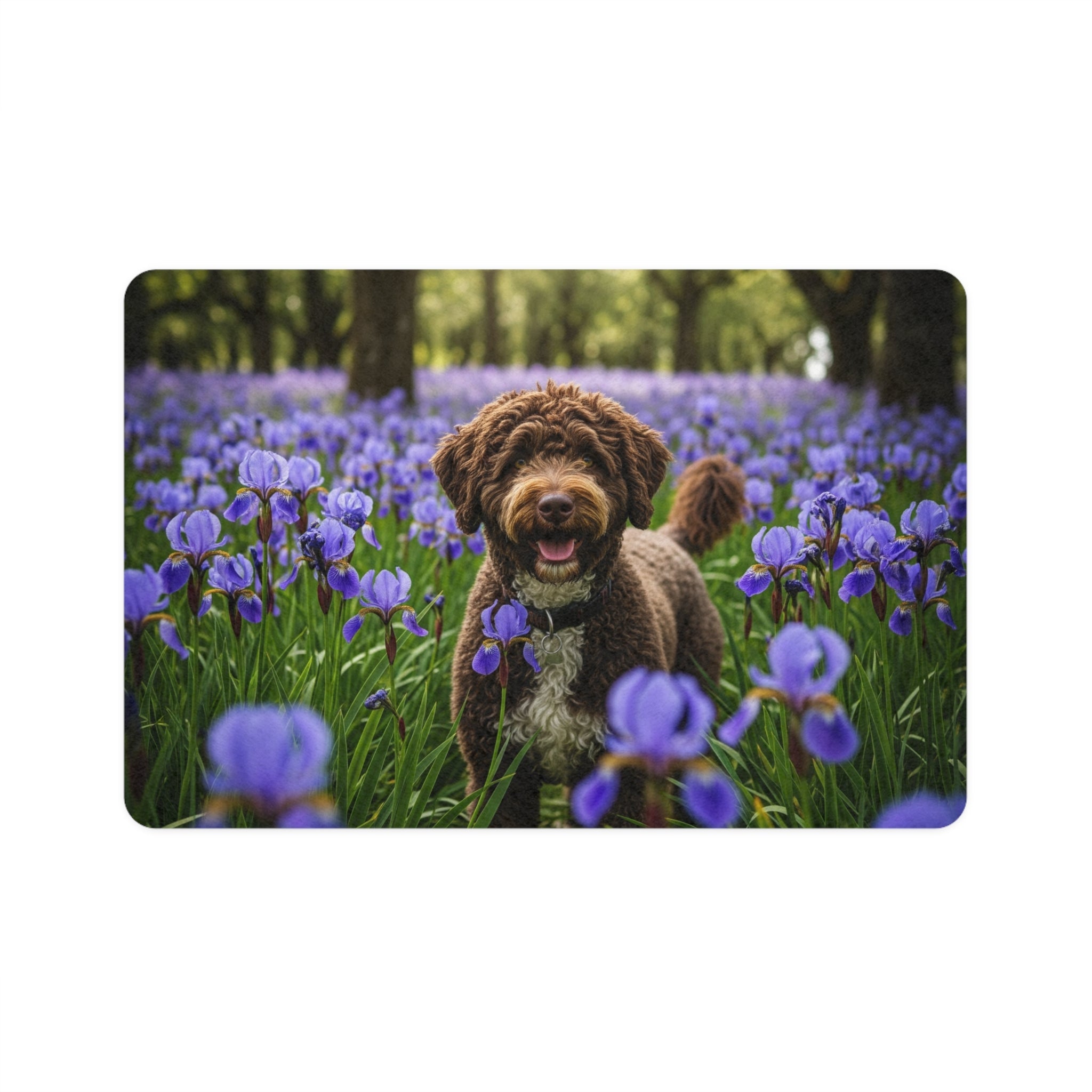 Non-Slip Pet Food Mat – Waterproof Feeding Mat for Dogs