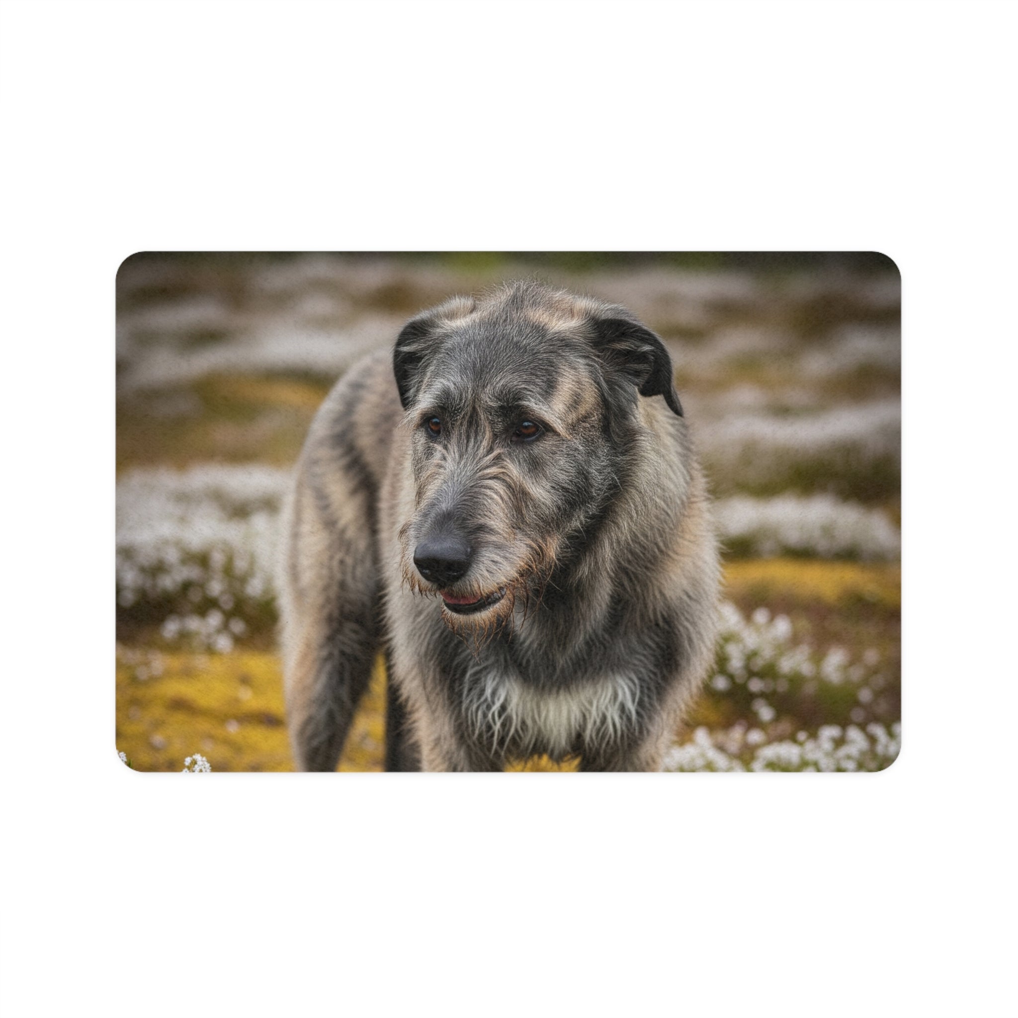 Non-Slip Pet Food Mat – Waterproof Feeding Mat for Dogs