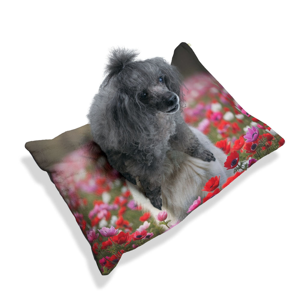 Pet Bed – Plush Dog Bed, 3 Size Options