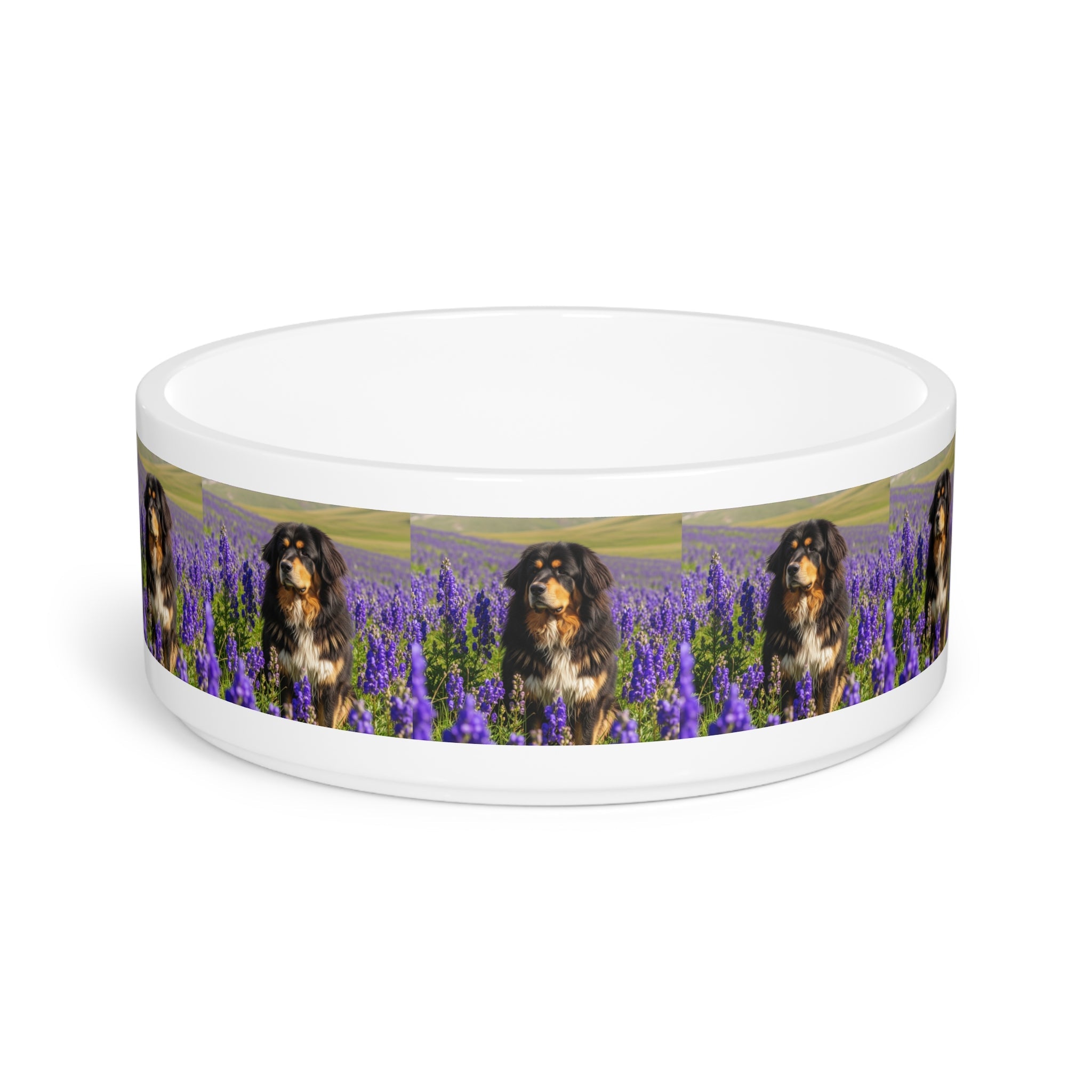 Ceramic Pet Bowl – 16 oz Dog Feeding Bowl