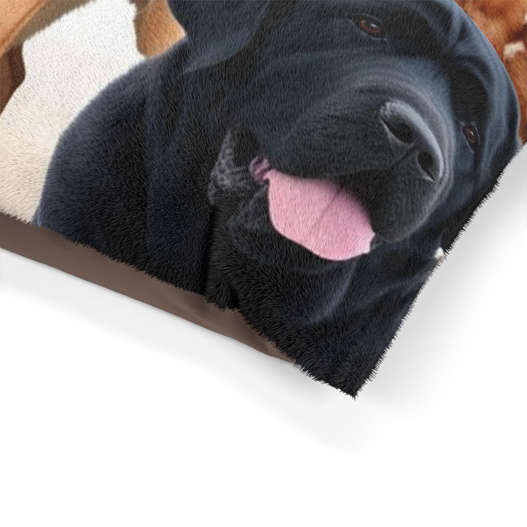 Pet Bed – Plush Dog Bed, 3 Size Options