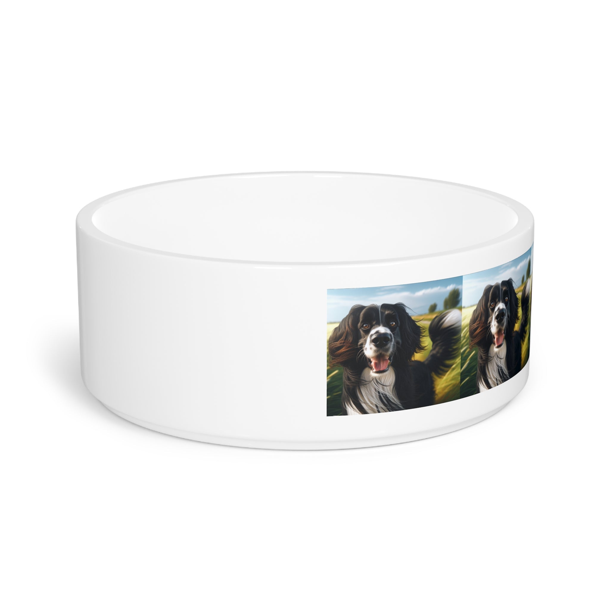 Ceramic Pet Bowl – 16 oz Dog Feeding Bowl