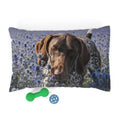 Pet Bed – Plush Dog Bed, 3 Size Options