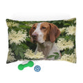 Pet Bed – Plush Dog Bed, 3 Size Options