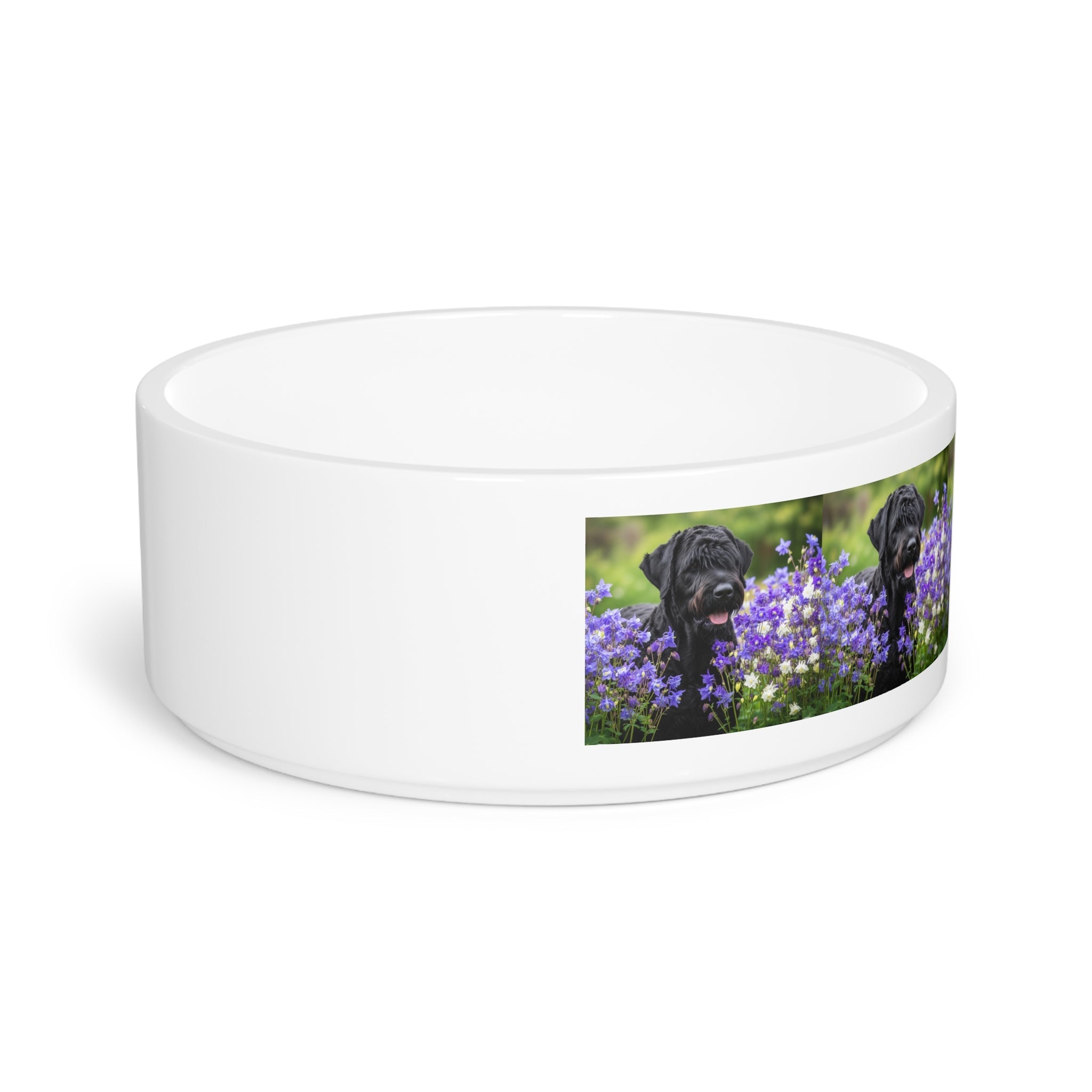 Ceramic Pet Bowl – 16 oz Dog Feeding Bowl