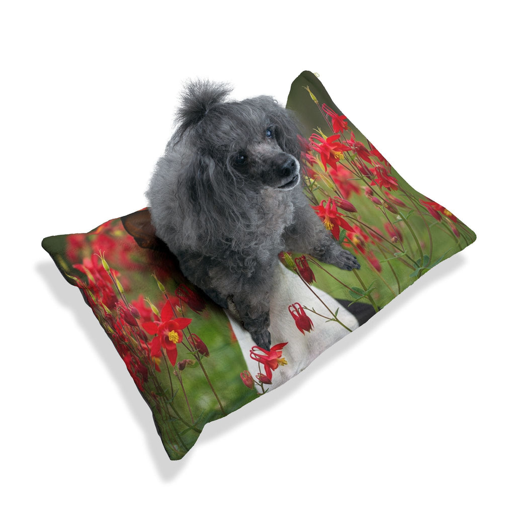 Pet Bed – Plush Dog Bed, 3 Size Options