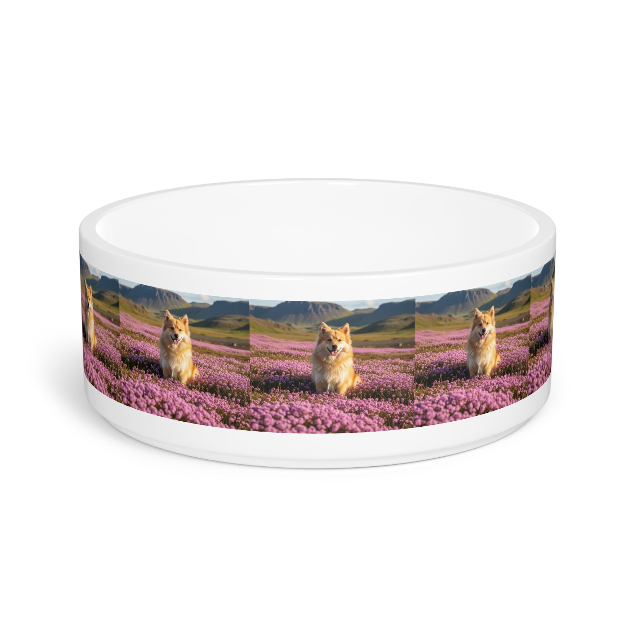 Ceramic Pet Bowl – 16 oz Dog Feeding Bowl